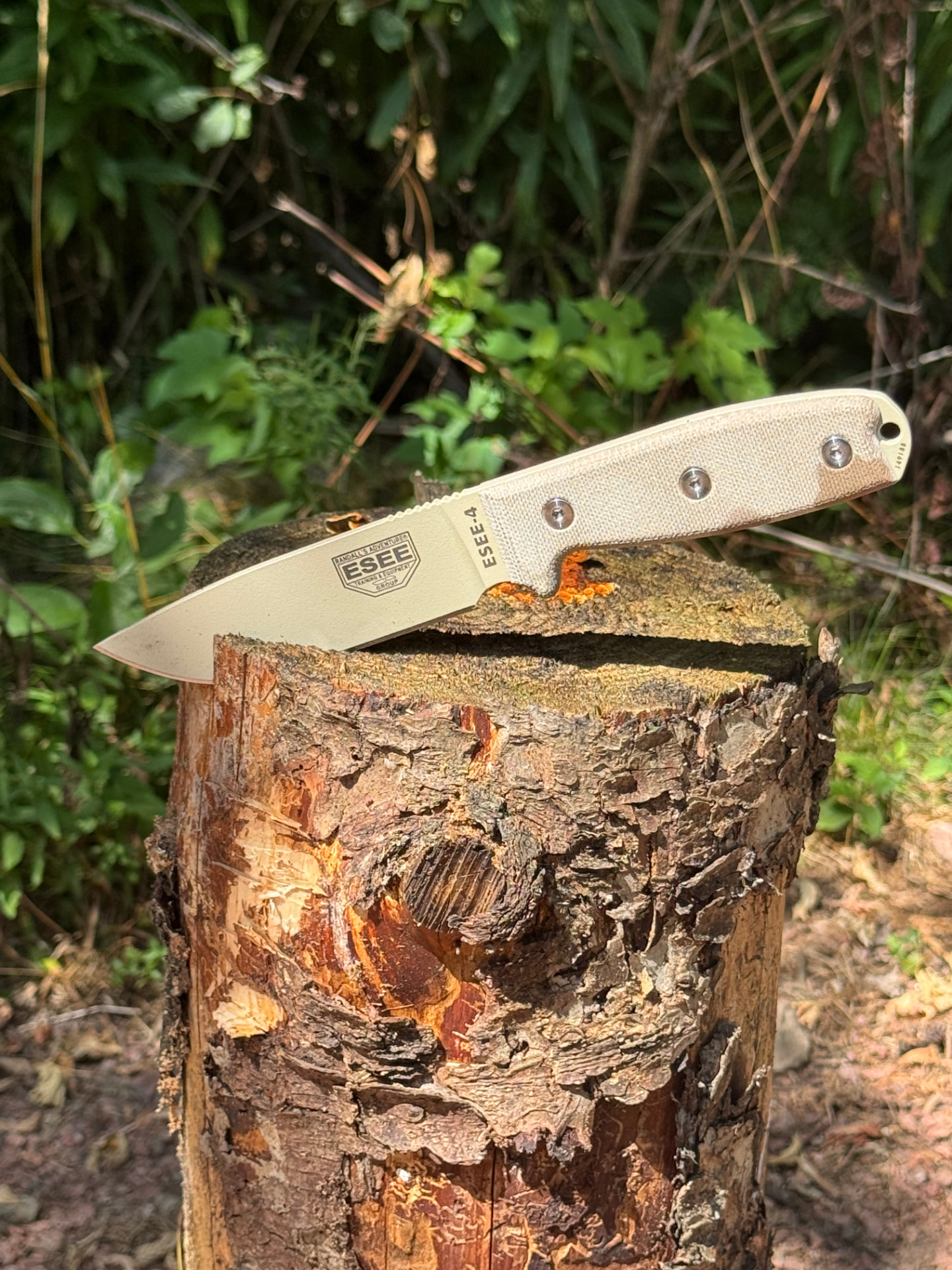 Full Profile on Stump