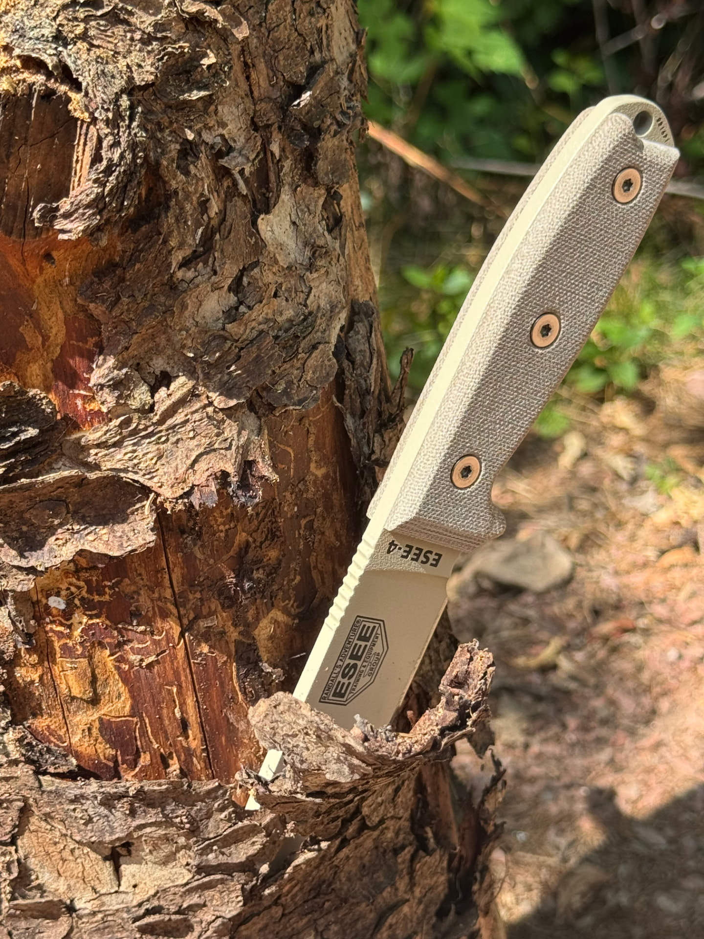 Bark Bite