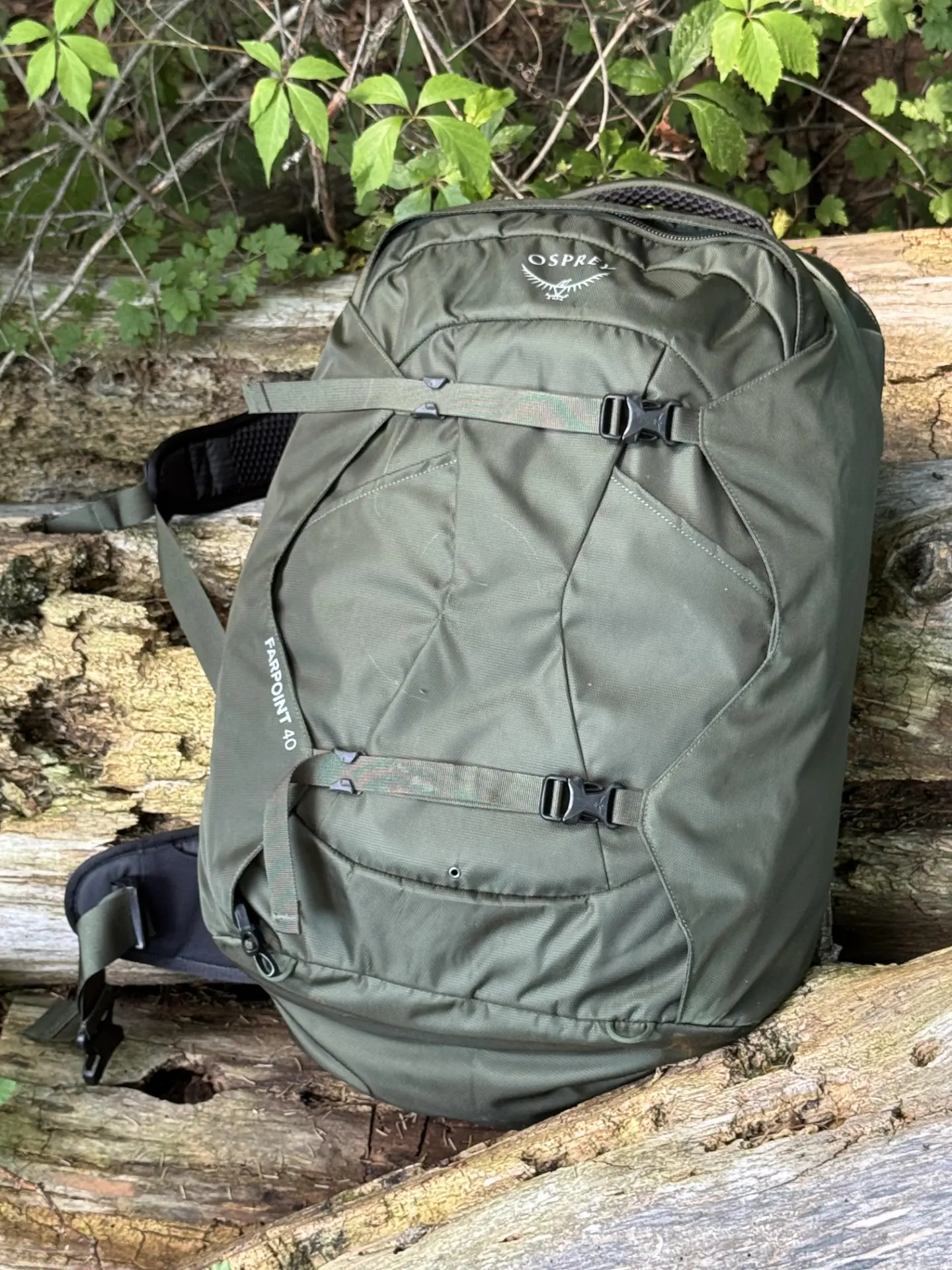 Osprey Farpoint 40 in shadow moss colorway propped against a fallen log in the woods