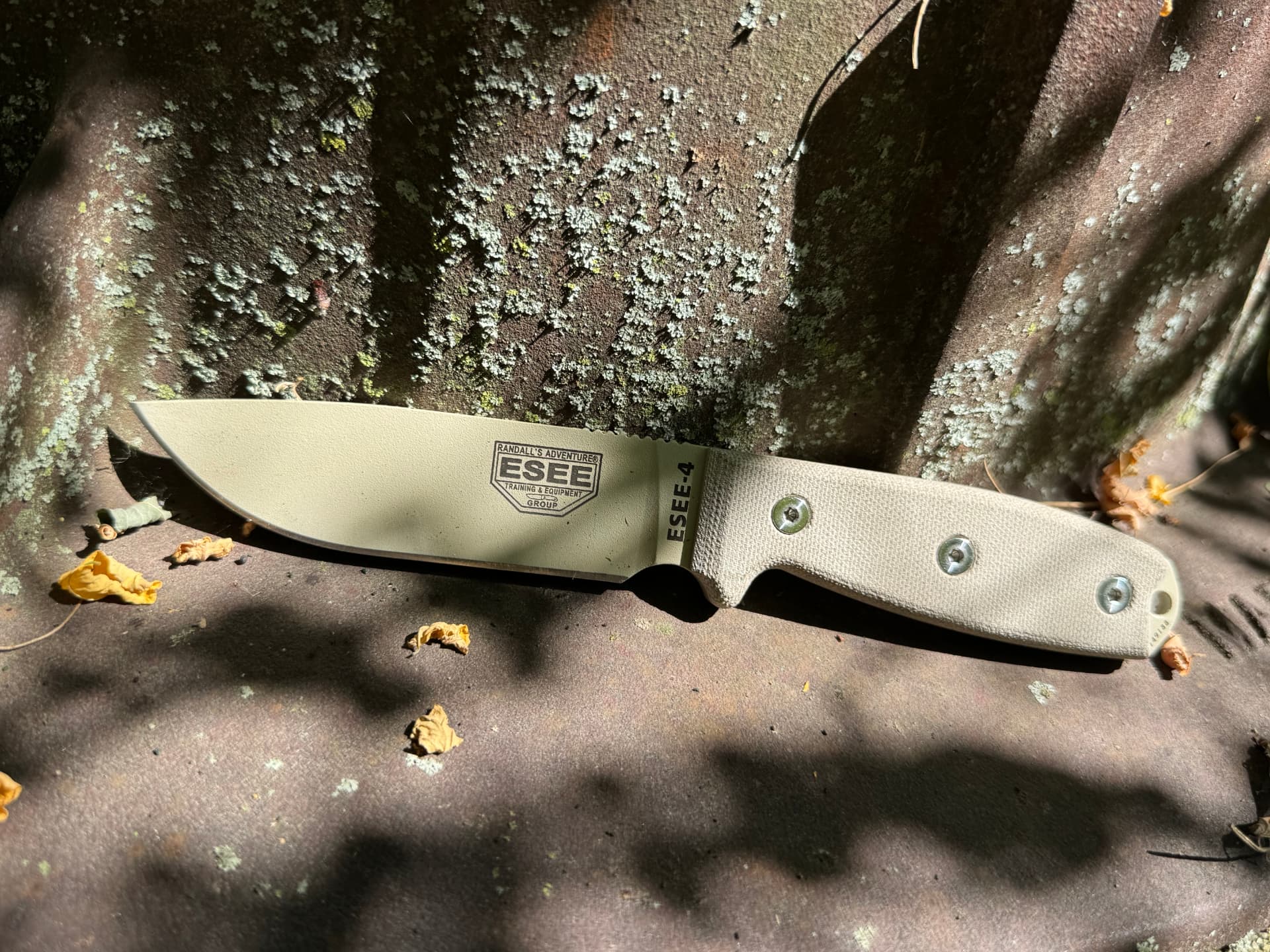 ESEE-4 Field Test